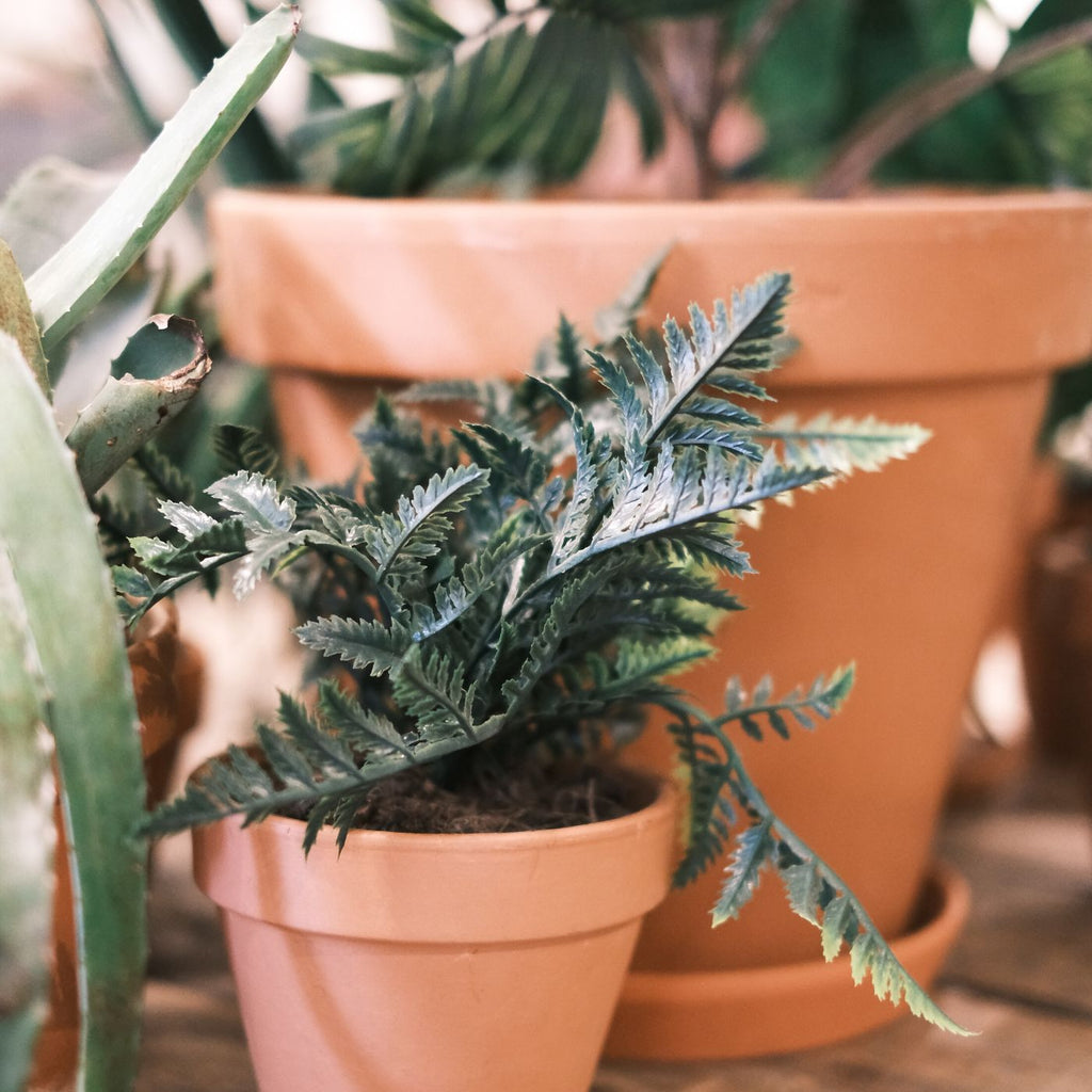 Propagation Stand — detail