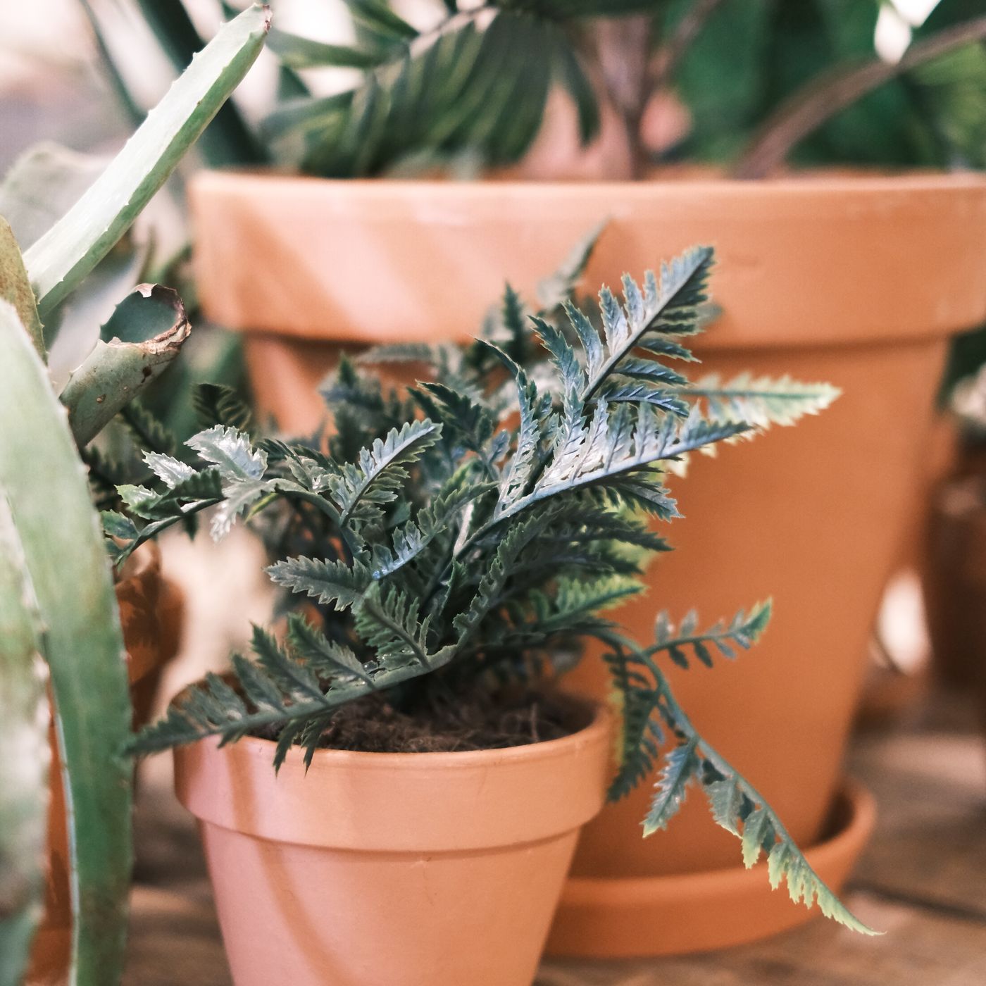 Propagation Stand — detail