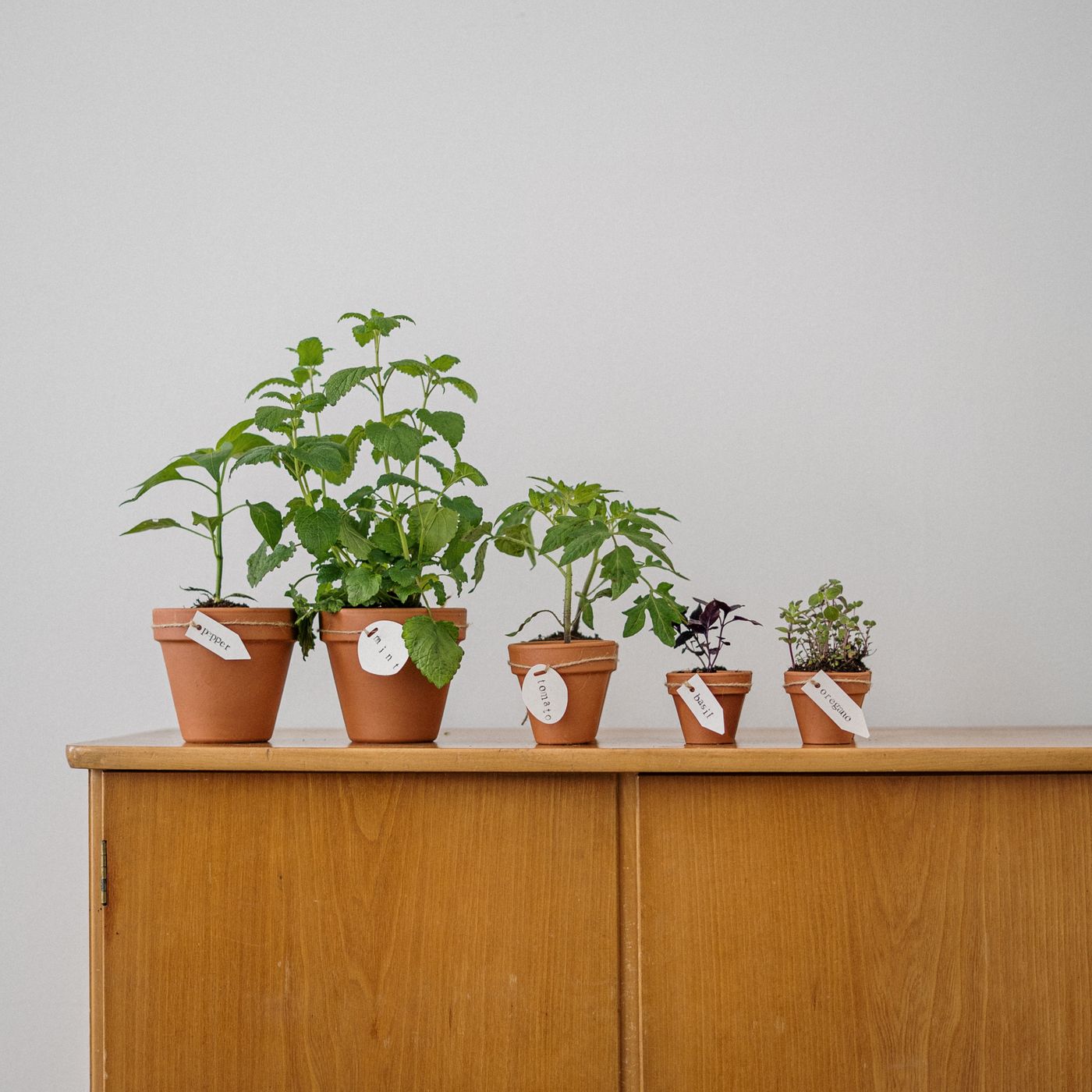 Chain-Hung Planter — detail