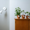 Vented Orchid Pot